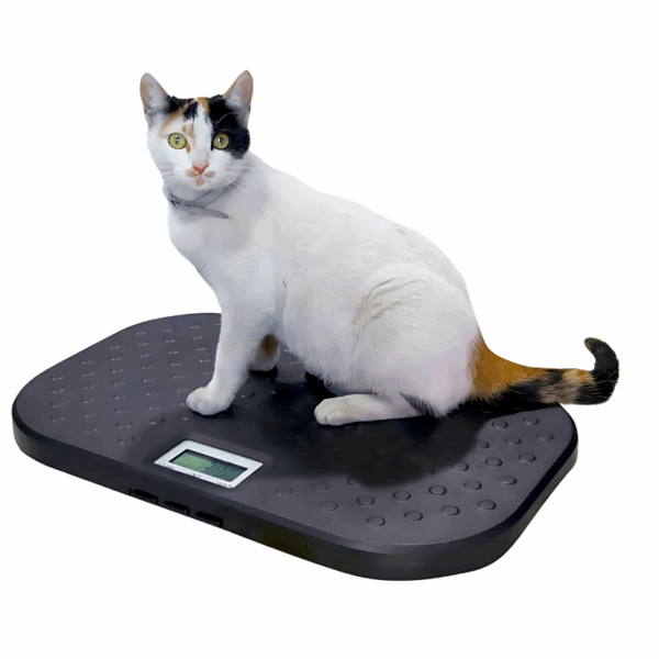 Bascula Veterinaria - Imagen 3