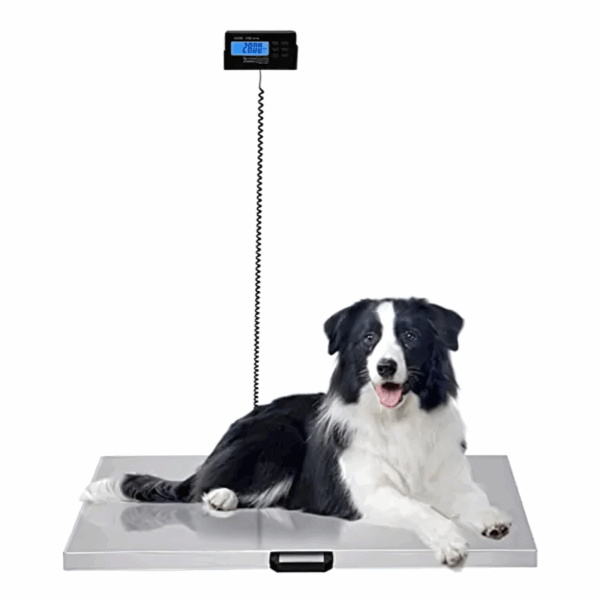 Bascula Veterinaria - Imagen 4