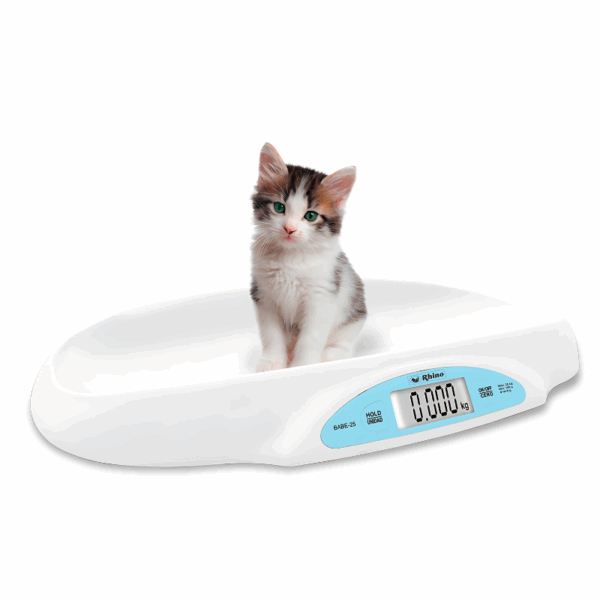 Bascula Veterinaria - Imagen 5